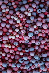frozen berries on the table