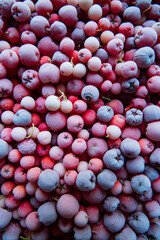 frozen berries on the table