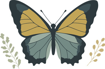 Elegant Butterfly Design