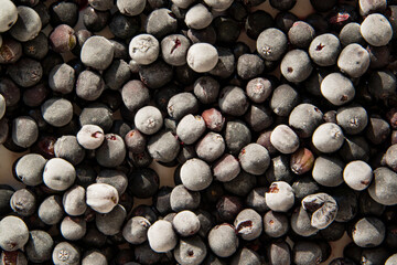 frozen berries on the table