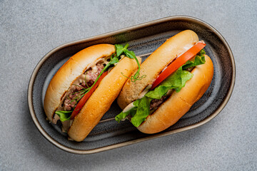 tasty  burger on the table