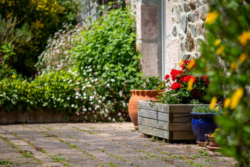 Charmant petit jardin fleuri au printemps.