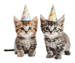 Two playful kittens celebrate with party hats, cut out - stock png.