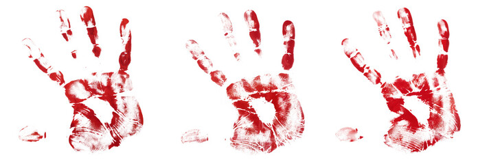 High-Quality PNG of Bloody handprint Isolated on White Background – High Resolution