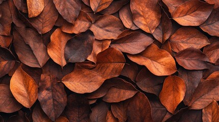 Contemporary geometric rust-colored leaves create a minimalist module composition, perfect for emphasizing design and nature. Ample copy space enhances the visual appeal.