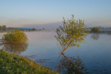 foggy morning on the lake