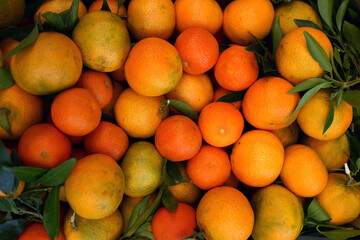 Fresh Oranges with Green Leaves