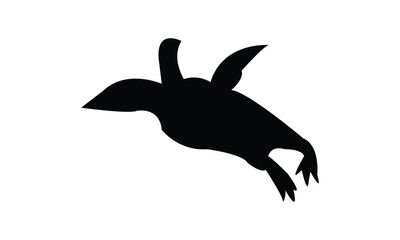Penguin Bird Silhouette Design  And Vector Illustration. 