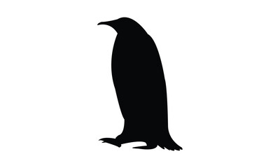 Penguin Bird Silhouette Design  And Vector Illustration. 