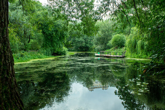 pond in the park - Powered by Adobe