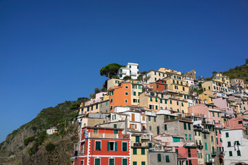 Obraz premium Colorful Houses of Riomaggiore under a Clear Sky