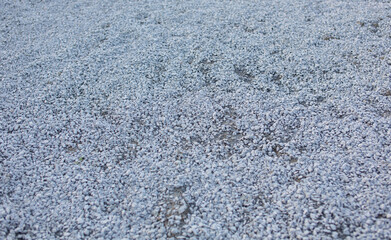 The ground is strewn with small stones.