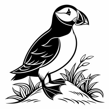 recommend clip art: puffin silhouette on white background, Vector illustration, icon, svg, characters, Holiday t shirt, Hand drawn trendy Vector illustration, puffin silhouette vector illustration white background
