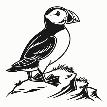 recommend clip art: puffin silhouette on white background, Vector illustration, icon, svg, characters, Holiday t shirt, Hand drawn trendy Vector illustration, puffin silhouette vector illustration white background