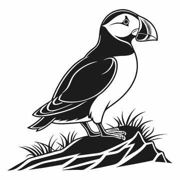 recommend clip art: puffin silhouette on white background, Vector illustration, icon, svg, characters, Holiday t shirt, Hand drawn trendy Vector illustration, puffin silhouette vector illustration white background