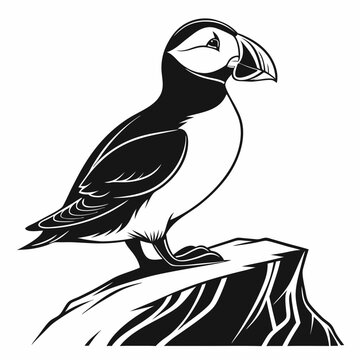 recommend clip art: puffin silhouette on white background, Vector illustration, icon, svg, characters, Holiday t shirt, Hand drawn trendy Vector illustration, puffin silhouette vector illustration white background