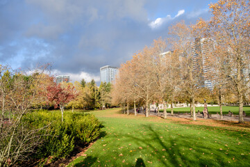 Spring evening at the Downtown Park in Bellevue