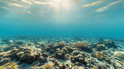 Naklejka premium Sunlit Coral Reefs Under Soft Ocean Waves in a Peaceful Aquatic Environment : Generative AI