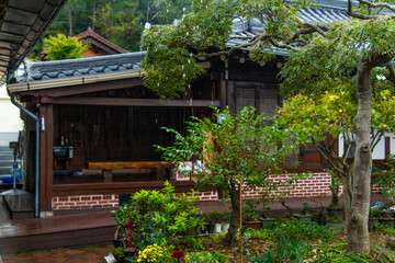 rural house's garden in the rain