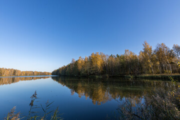 A calm lake with trees in the background