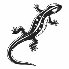 house lizard reptile silhouette,Salamander Black Silhouette Vector Icon