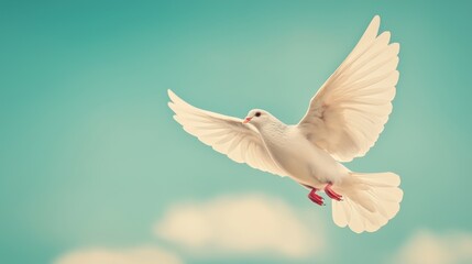 Obraz premium Elegant White Dove in Mid-Flight Against a Beautiful Sky, Symbolizing Peace and Freedom, with Its Wings Spread Gracefully, Captivating the Viewer with Soothing Colors and Serenity