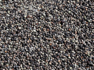 Coffee beans,In the ferment and wash method of wet processing