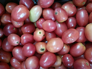 Lots of queen tomatoes in a crate
