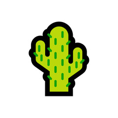 Cactus
