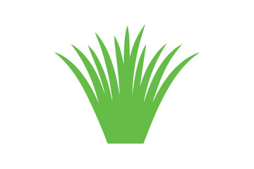 green grass isolated