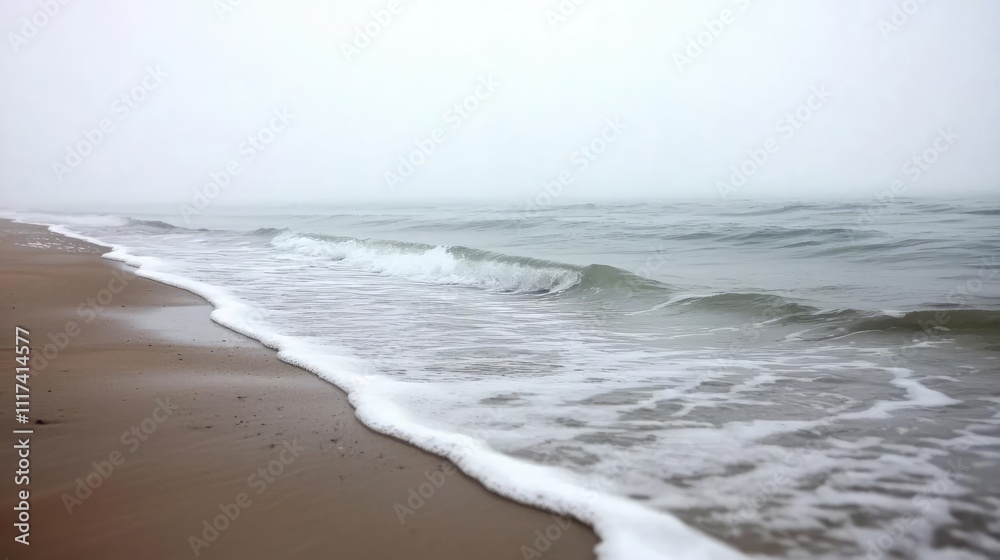 Poster Misty beach scene with gentle waves lapping the shore, creating a serene atmosphere of nature and tranquility.