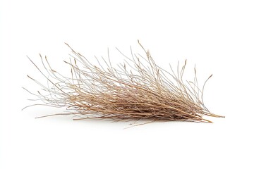 Obraz premium Isolated tumbleweed against a white backdrop. Generative Ai