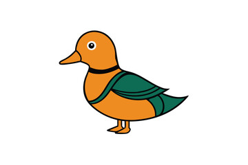 duck isolated on white