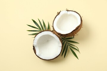 
Coconut on color background, top view
