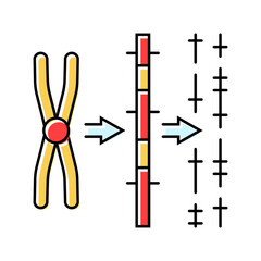 gene mapping cryptogenetics color icon vector. gene mapping cryptogenetics sign. isolated symbol illustration