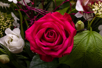 a beautiful red rose in a floral bouquet