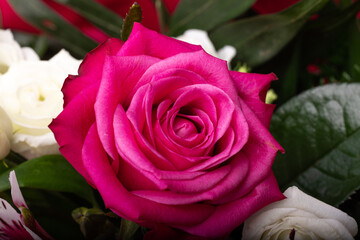 a beautiful red rose in a floral bouquet
