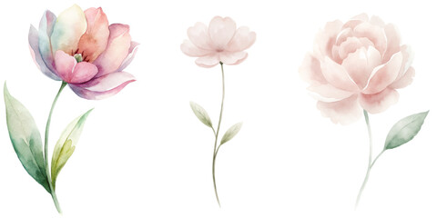 Three flowers are shown in a watercolor painting