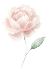 A watercolor painting of a pink flower with a green leaf