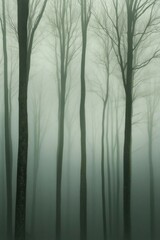 Obraz premium A foggy forest scene with tall, bare trees creating a mysterious atmosphere.