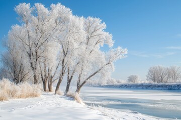 Fototapeta premium A serene winter landscape with frosted trees and a frozen river under a clear blue sky.