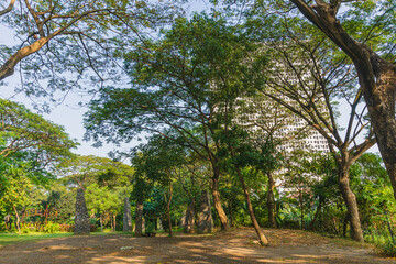 Obraz premium Camping ground area at Kebun Bibit Wonorejo, East Java, Surabaya. 