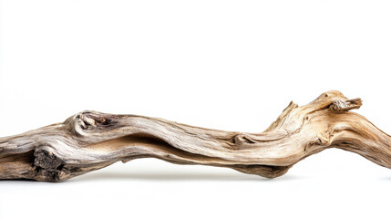 A beautifully textured piece of driftwood displayed against a clean, white background, showcasing its intricate curves and natural patterns.