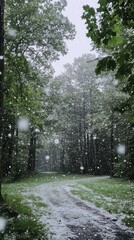 Fototapeta premium Snowy Path in a Green Forest
