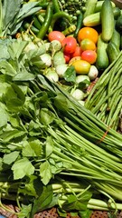Fresh vegetables for cooking. Vegetables contain dietary fiber that helps cleanse the intestines.