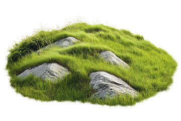 A panoramic view of a rolling green hillside covered in fresh grass, gently swaying in the breeze, with a few scattered rocks and wild plants enhancing the natural scenery.