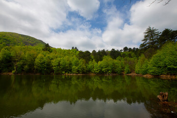 Yalova forest and bottomless lake