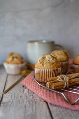 homemade muffins with chocolate chips and rustic background 