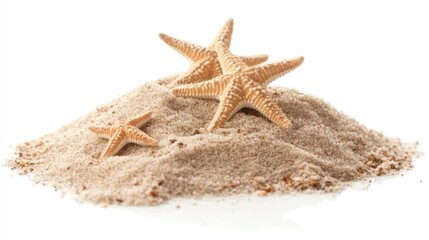 Starfish on a Pile of Sand - A Beautiful Beach Scene