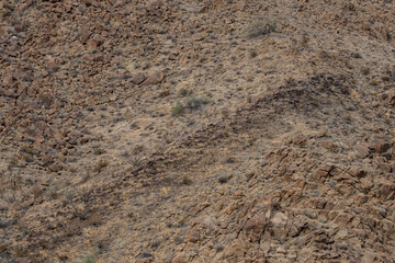 Cottonwood Mountains . Colorado Desert section of the Sonoran Desert. Joshua Tree National Park, California.